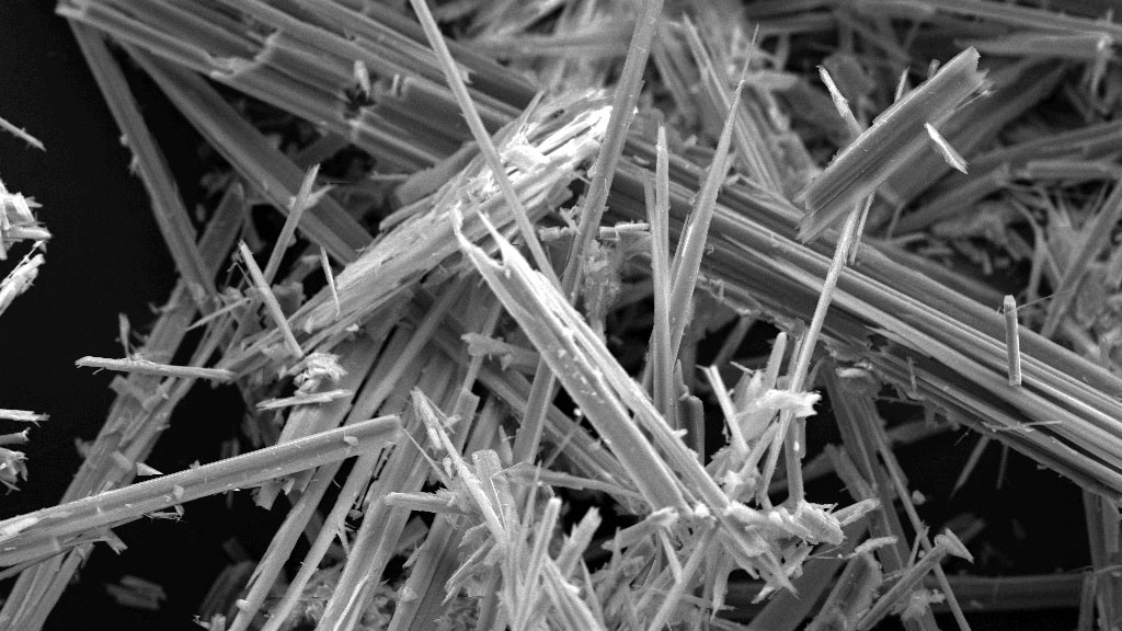 Fibre di amianto (o asbesto) al microscopio